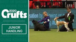 International Junior Handling Competition - Session 2- Part 2 | Crufts 2020