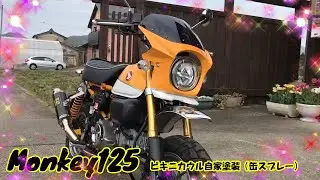 Monkey125　ビキニカウル自家塗装缶スプレーで激安塗装！チキン篠田