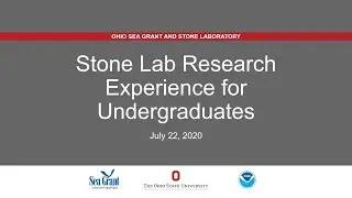 Stone Lab REU Presentations 2020