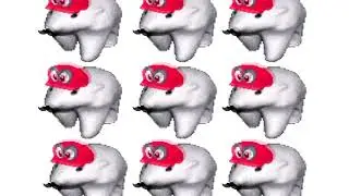 🐻 🐻 🐻 🐻 🐻 🐻 🐻 🐻 🐻