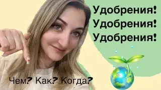 УДОБРЕНИЯ для  пеларгоний. Начало весны🌺 #пеларгонии #герани #комнатныерастения #удобрения #цветы