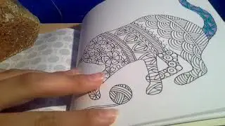Crayola Supertips Challenge
