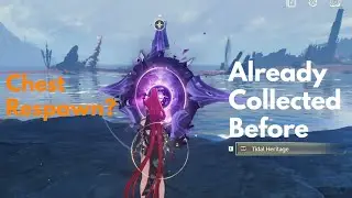 [WuWa] Chest / Tital Heritage Does Respawn in Wuthering Waves
