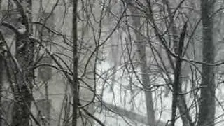 Winter, Moscow
