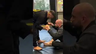 Бразильское джиу-джитсу в Namode 🔥 #бжж #bjj