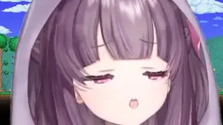 Terraria Heads Summarized
