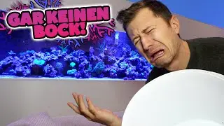 ALLES muss wieder RAUS!