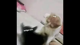 taking bridge comm on a walk