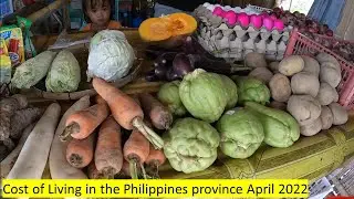 Cost of Living in the Philippines province April 2022