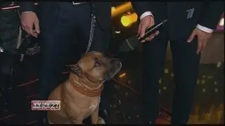 Дик что-то сказал Гузеевой))