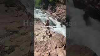 Вот это кадры!) Неожиданная концовка!😀🎉👋
