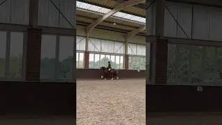 The best horse I could ever ask for 💙 #horse #equestrian #equestrian #horseshow #horseriding