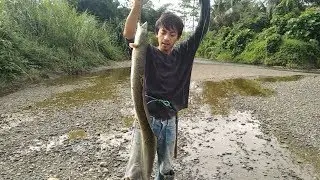 Wow, Mancing Sidat Dapat Monster Lagi