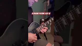 Economy Picking Lick 13