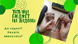 12.02.24 Есть тут кто? Первое видео года. Распределение семейного бюджета.