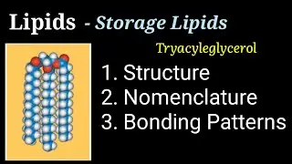 Lecture-10(PI) | Introduction to Lipid | Structural Lipid | Storage Lipid | Triacyleglycerol | TAG