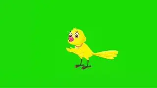 tuni chidiya bird free greenscreen || Free green screen || no copyright greenscreen bd