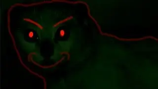 МОЙ КОТ ПЫТАЕТСЯ МЕНЯ УБИТЬ!
