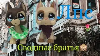 1серия Лпс сериал : СВОДНЫЙ БРАТ