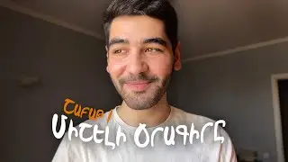 ՄԻՇԵԼԻ ՕՐԱԳԻՐԸ 1/ նոր երգ, ատրակցիոններ, ծնունդ։ VLOG