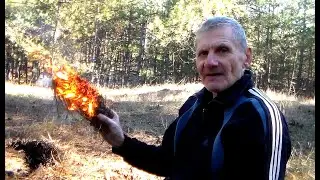 Волшебное дерево и волшебный огонь