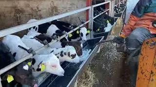ASMR Long Day On Farm -  Work and Music