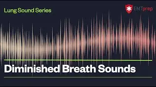 Diminished Breath Sounds - EMTprep.com