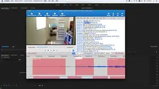 Finalsub通过SRT文件为Premiere制作字幕