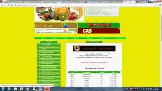THE BEST FRUIT FARM ЛУЧШАЯ ФРУКТОВАЯ ФЕРМА