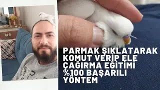 MUHABBET KUŞUNU UZAKTAN ÇAĞIRMA EĞİTİMİ VE GÜVENİNİ KAZANMA YOLLARI 2.BÖLÜM