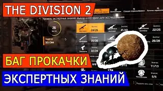DIVISION2. БАГ С ПРОКАЧКОЙ ЭКСПЕРТНЫХ ЗНАНИЙ