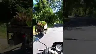 Raya Semingkir