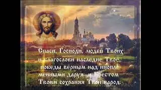 Спаси Господи 🙏 #душа #вера #молитва #подпишись #россия #православие #христианство #shorts