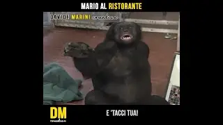 Mario at the restaurant