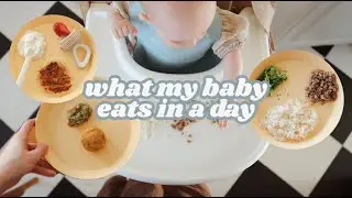 What My 8 Month Old Eats in a Day // (Mostly) Baby Led Weaning