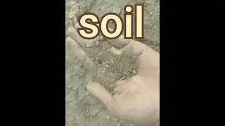 क्या आपको पता है मिट्टी को इंग्लिश में क्या कहते? kya aapko PTA hai mitti ko English me kya? 