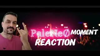PaleNeØ - Moment. (Live Performance Video) eaction