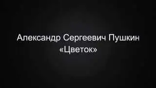 Александр Сергеевич Пушкин «Цветок»