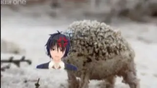Very Angry Senpai