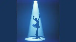 Shadow in Motion (English Version)