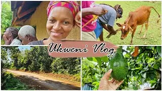 The Ukweni Vlog❤️ Life in the Village | Ika Malle
