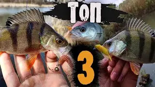 TOP 3 Ultralight Lures for Spring Predators