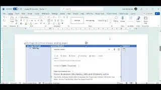 Screen Shot and Adjust image size