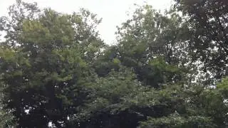 iPhone 4 HD Camera Test Footage