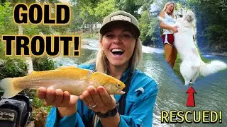 We Caught ULTRA RARE GOLD TROUT and RESCUED a MISSING GIANT DOG! (Returned to Owner!)