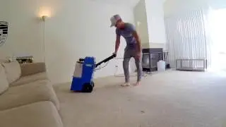 GLIM - How To Clean Your Carpet