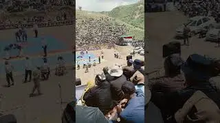 9 июня 2024 г.