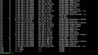 Subnets /30, /31 and /32