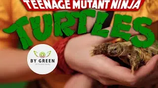 April O'Neil cosplay video (Teenage Mutant Ninja Turtles) 4K UHD