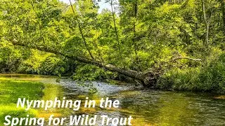 Nymphing in the Spring for Wild Trout